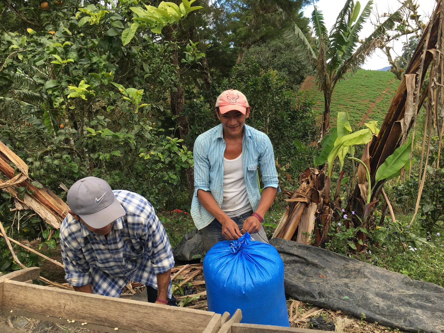 Nicaragua Jinotega Community Coffee | Light-Medium