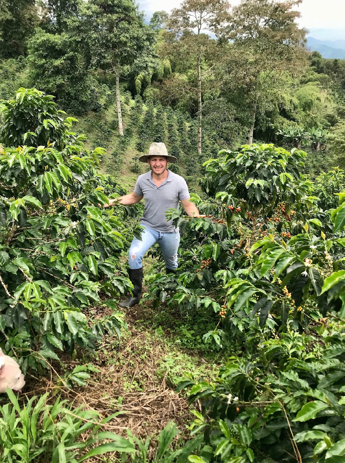 Sebastian Ramirez Pink Bourbon