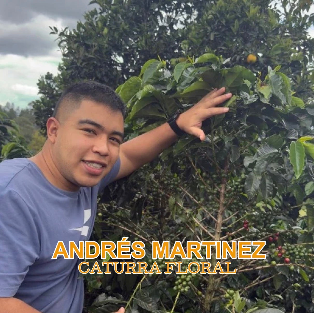 Andres Martinez Caturra Floral