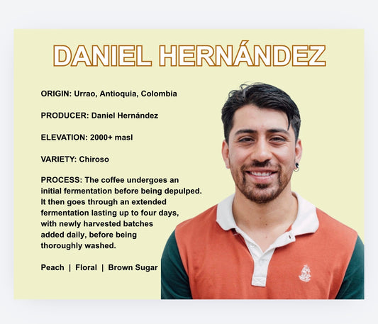 DANIEL HERNANDEZ CHIROSO