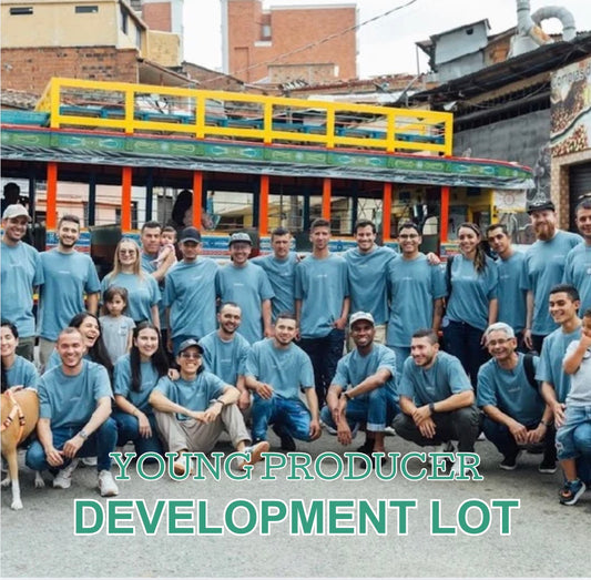 Development Lot