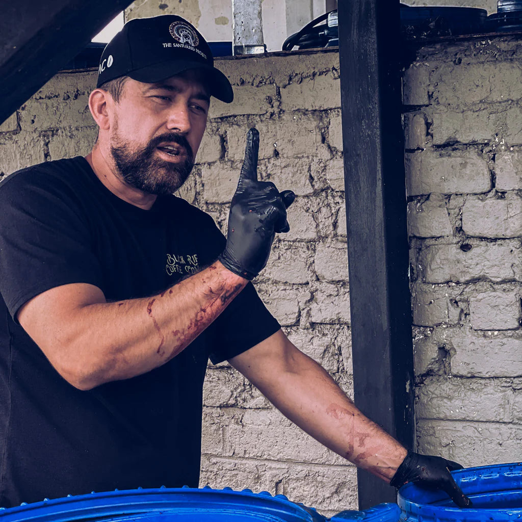 Colombia | Edwin Noreña | Passion Fruit Co-Ferment | Light